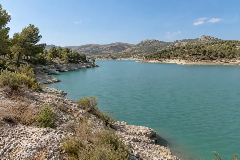 Groen water tussen de dennen bij Ardales