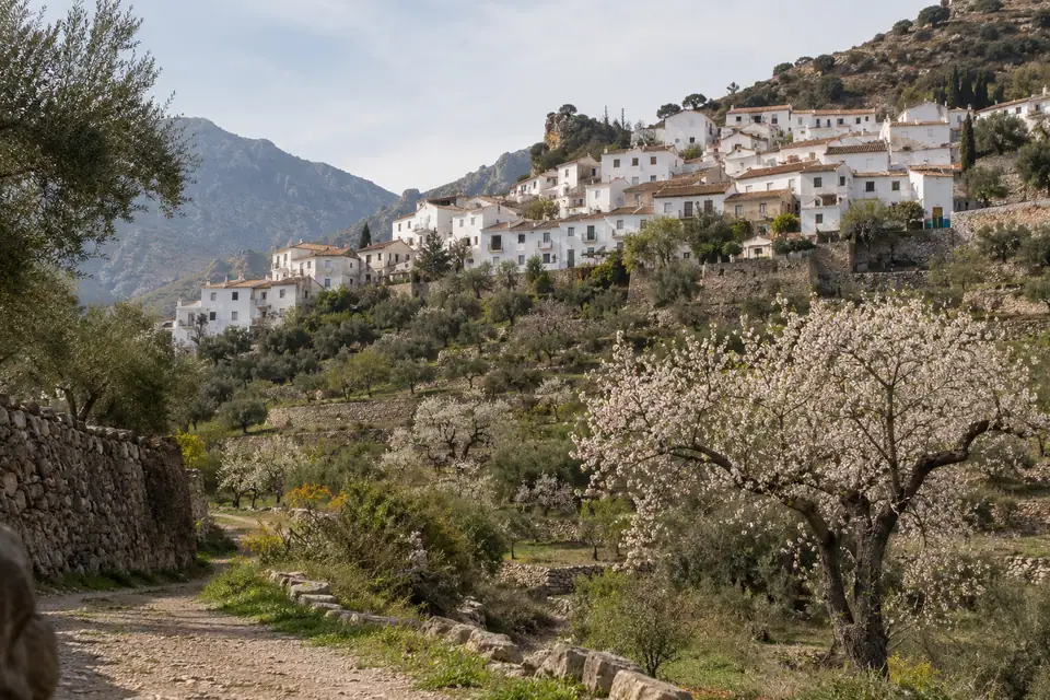 Witte huizen op een Andalusische helling