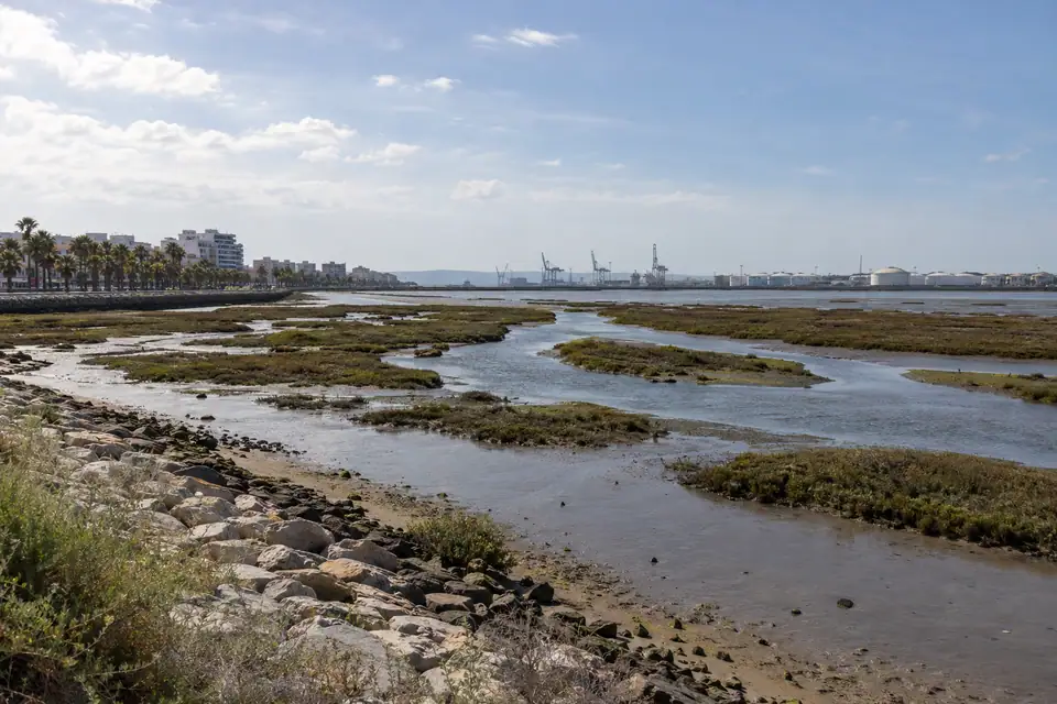 Brede riviermonding met kronkelende kreken en slikplaten, havenkranen en tanks op de andere oever.