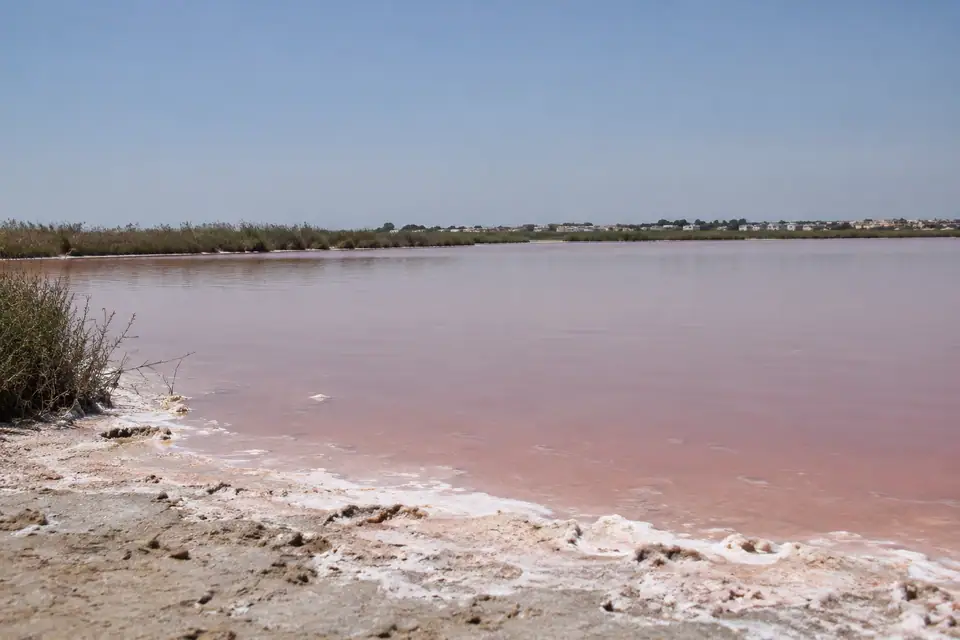 Zoutpannen met roze water