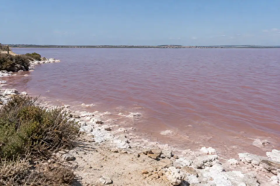 Roze water in de zoutlagune van Torrevieja