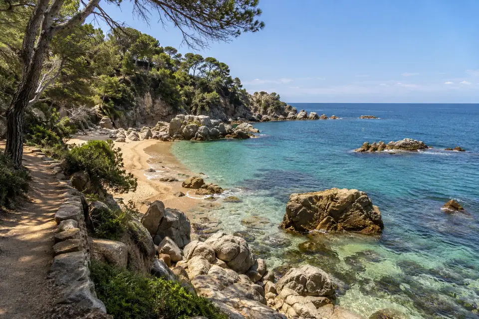 Rotsen en dennen langs de kust van Lloret