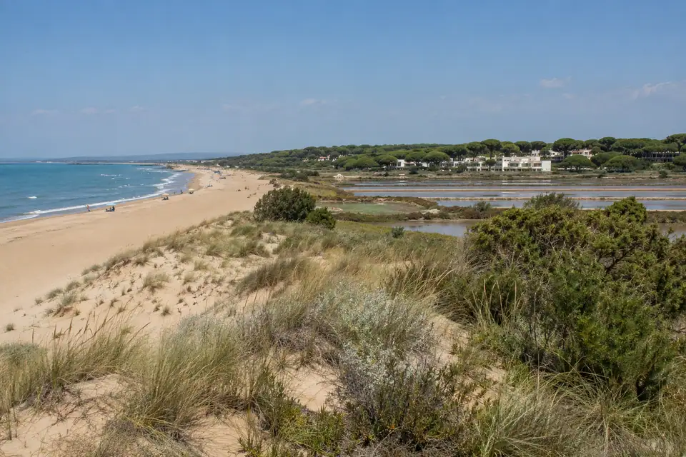 Een lang vlak goudkleurig strand met duinen en dicht pijnbos, daarachter ondiepe rechthoekige zoutpannen.
