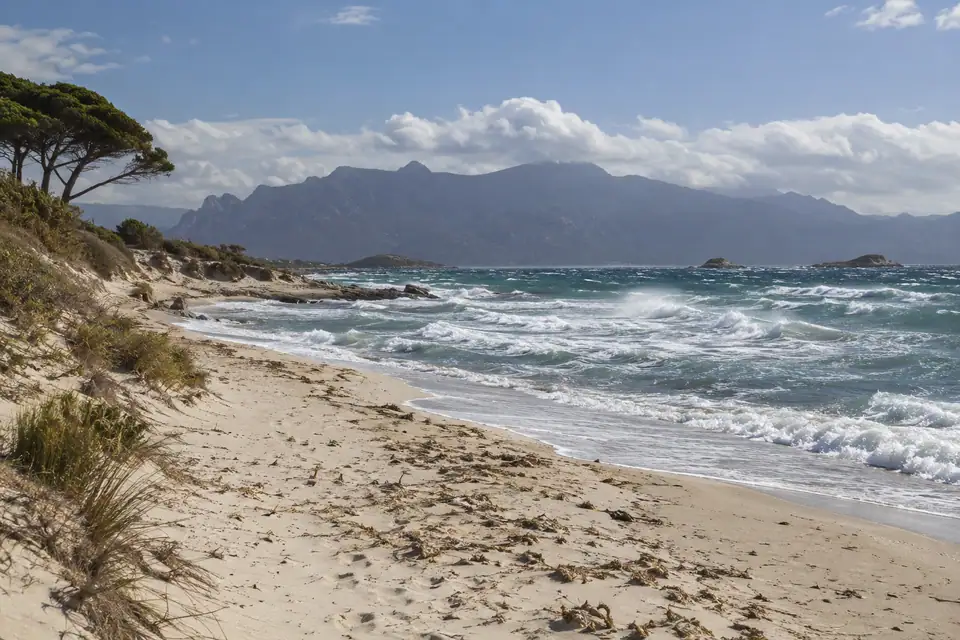 Een breed zandstrand met opwaaiend schuim, scheefgewaaide pijnbomen en in de verte donkere bergen over zee.