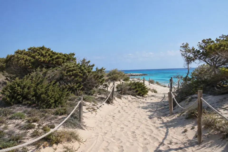 Duinen en lage dennen op Formentera
