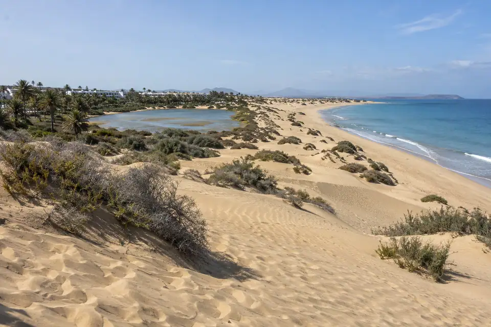 Golvend duinlandschap van lichtgoud zand loopt af naar een lang strand en kalme zee.