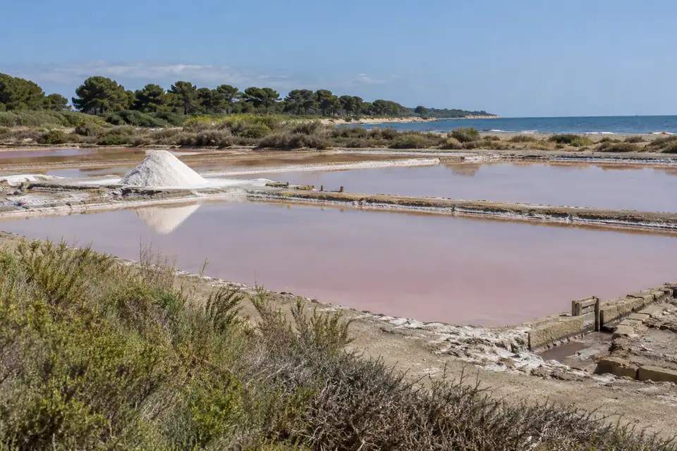 Vlakke zoutpannen met licht roze water tussen lage dijkjes, en een kegelvormige hoop geoogst zout.