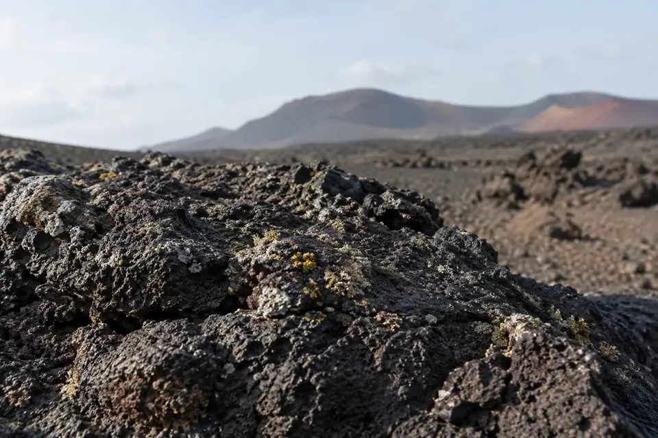 Korstmossen op ruwe zwarte lava