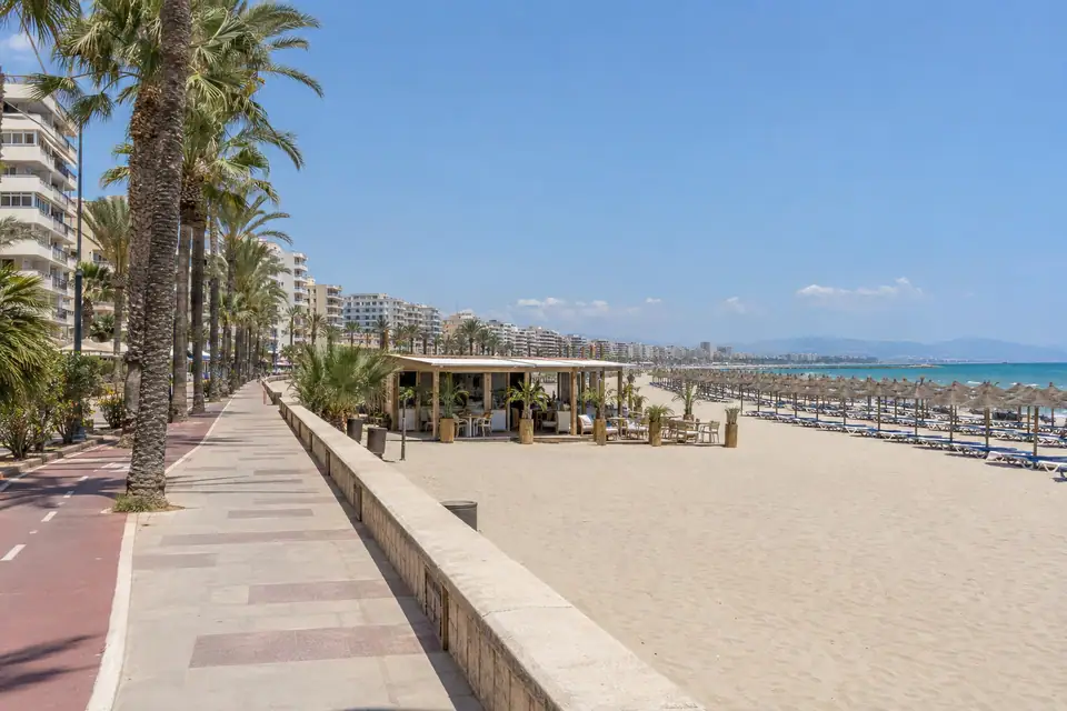 Een kilometerslang kaarsrecht strand met rijen ligbedden en rieten parasols langs een brede palmenboulevard.