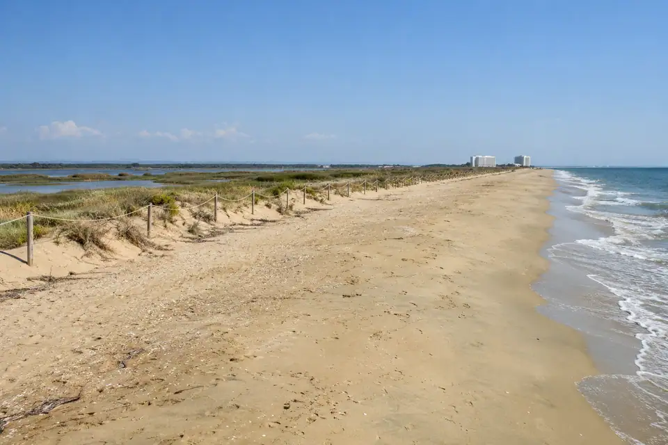 Zeer lang recht strand van goudgeel zand met afgezette duinen en een breed rietmoeras.