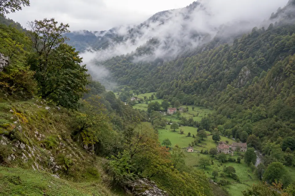 Beukenbos in de mist op steile hellingen boven groene hooilanden met stenen boerderijen.