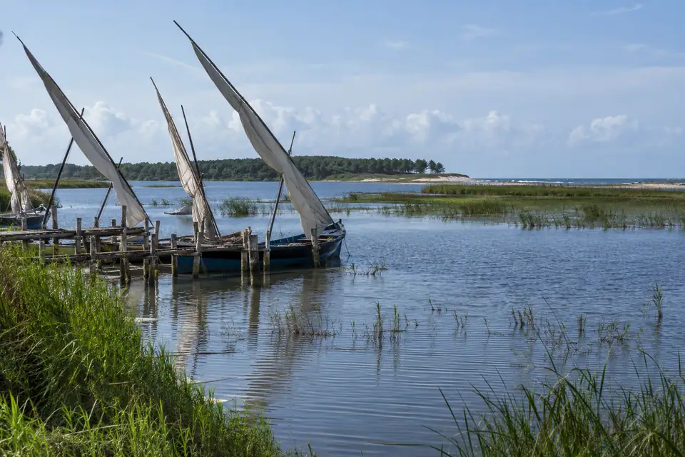 Ondiepe lagune met rietkragen en rijstvelden, houten vissersboten met hoge driehoekige zeilen aan een steiger.