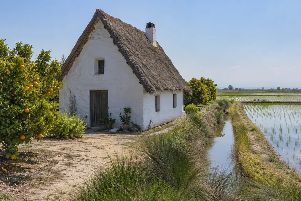 Wit boerenhuis met steil rieten dak op een vlakte tussen sinaasappelbomen en rijstvelden.