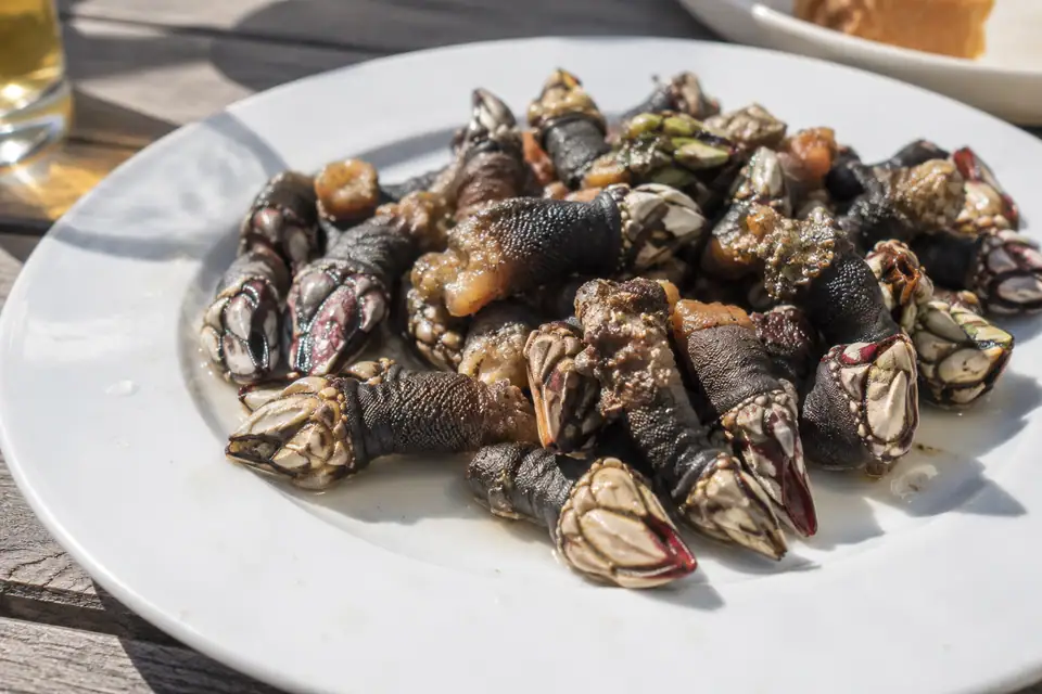 Dampende hoop eendenmossels op een wit bord, dikke grijze stelen met harde roze plaatjes.