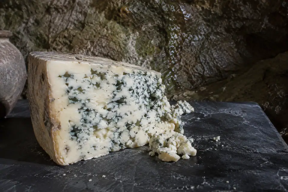 Dikke punt kruimelige witte kaas met dichte blauwgroene aders, op donkere steen voor een grotwand.