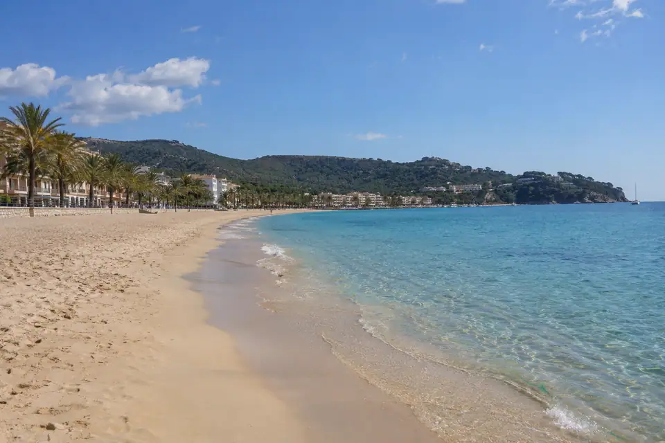 Lang recht strand met lichtgeel zand, ondiep turquoise water en een boulevard met palmen.