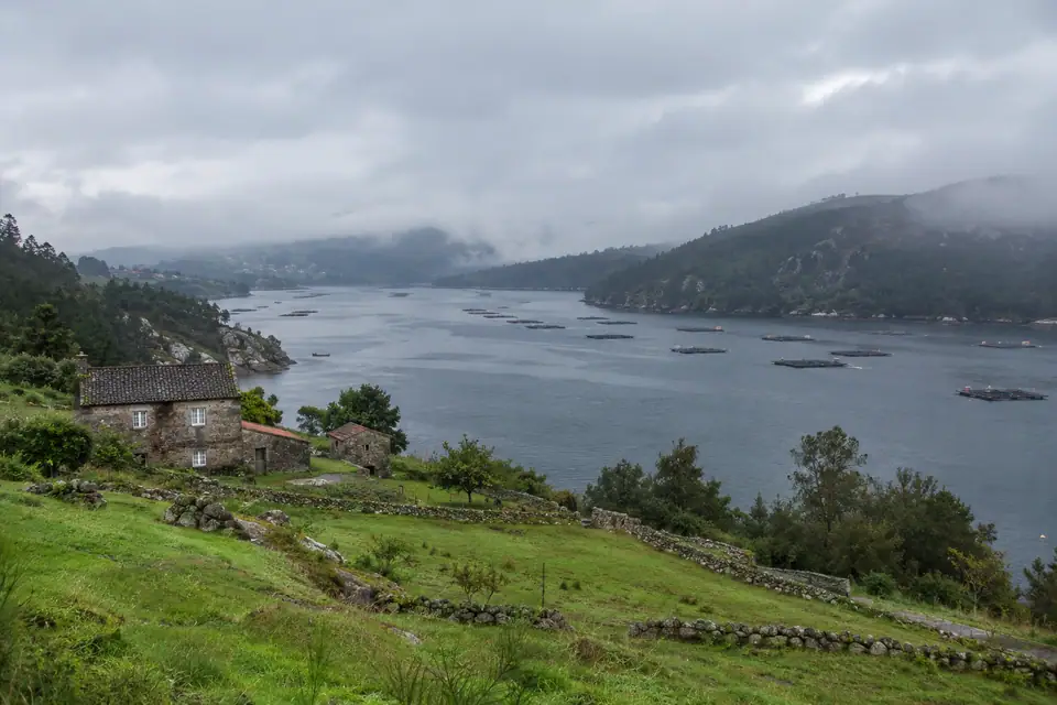 Diepgroene zeearm tussen beboste heuvels, met mist over het water en vierkante mosselvlotten.